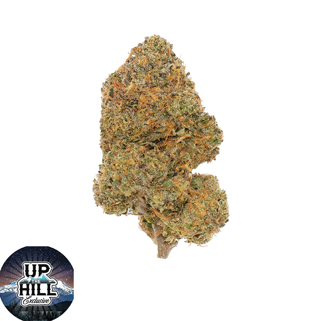 UP THE HILL EXCLUSIVE: Yellow Taffi