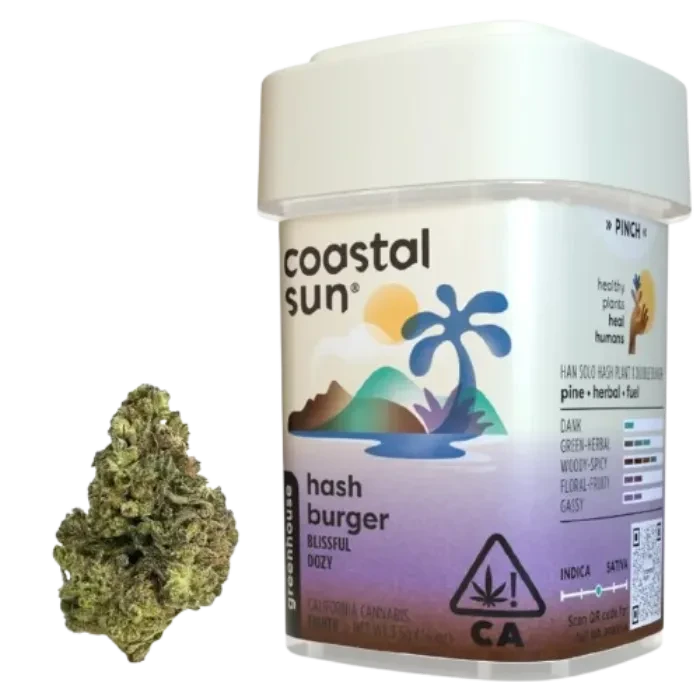 Coastal Sun Farm: Hash Burger 3.5G