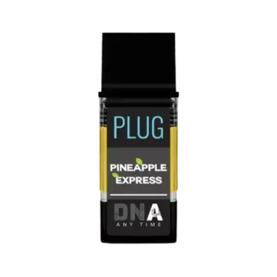 PlugPlay: Pineapple Express