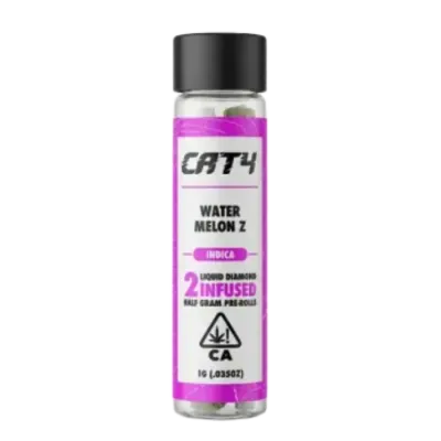 CAT4: Watermelon Z