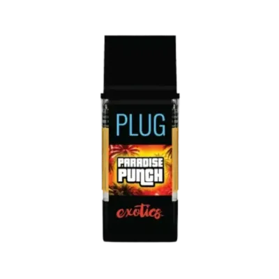 PlugPlay: Paradise Punch