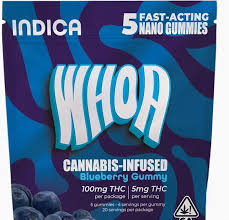 BLUEBERRY GUMMY 5PK 100MG