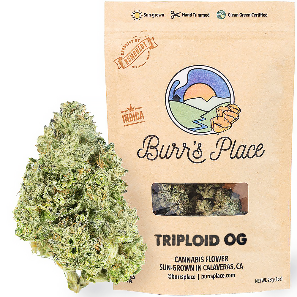 Triploid Og