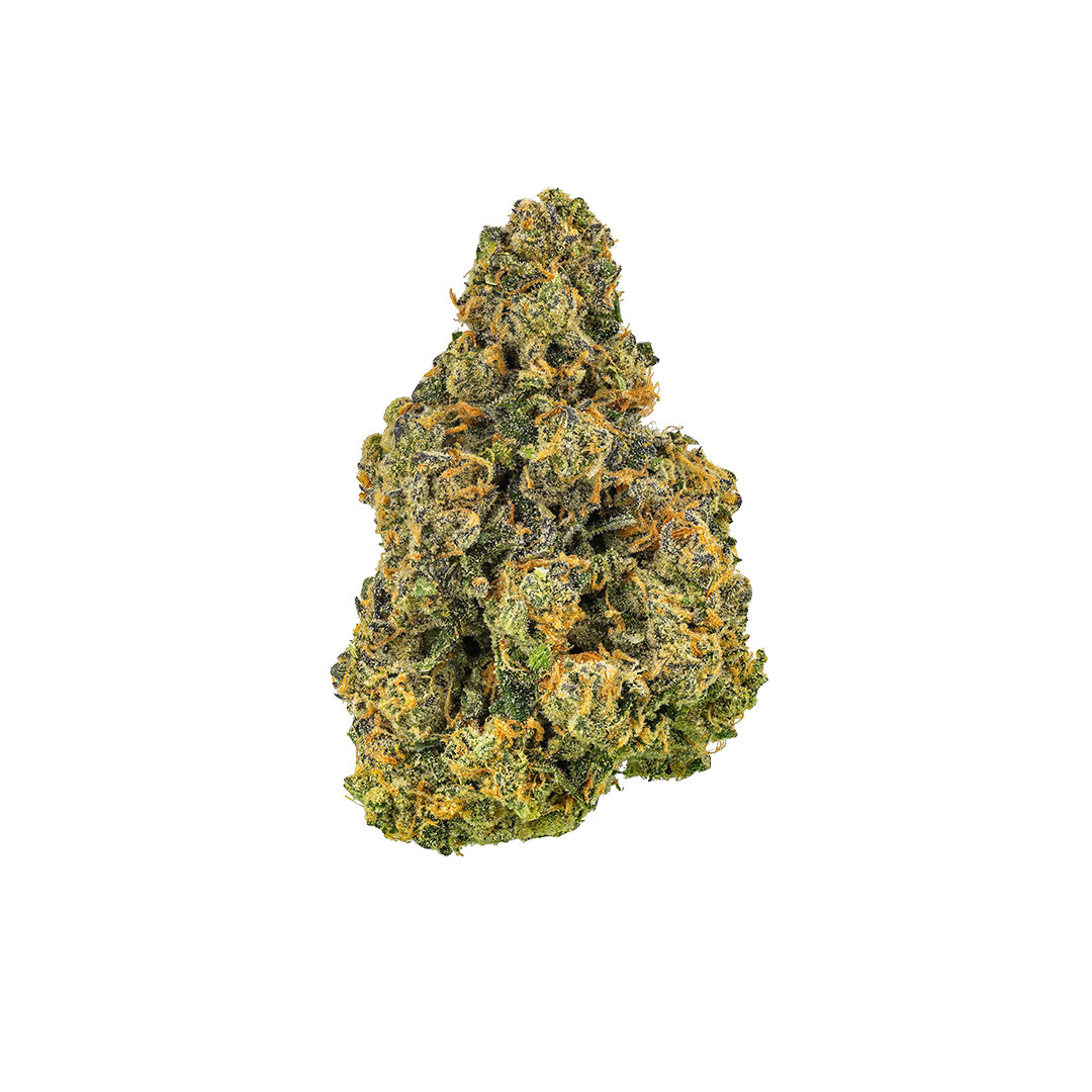 PARADISE | 7G - 7 g