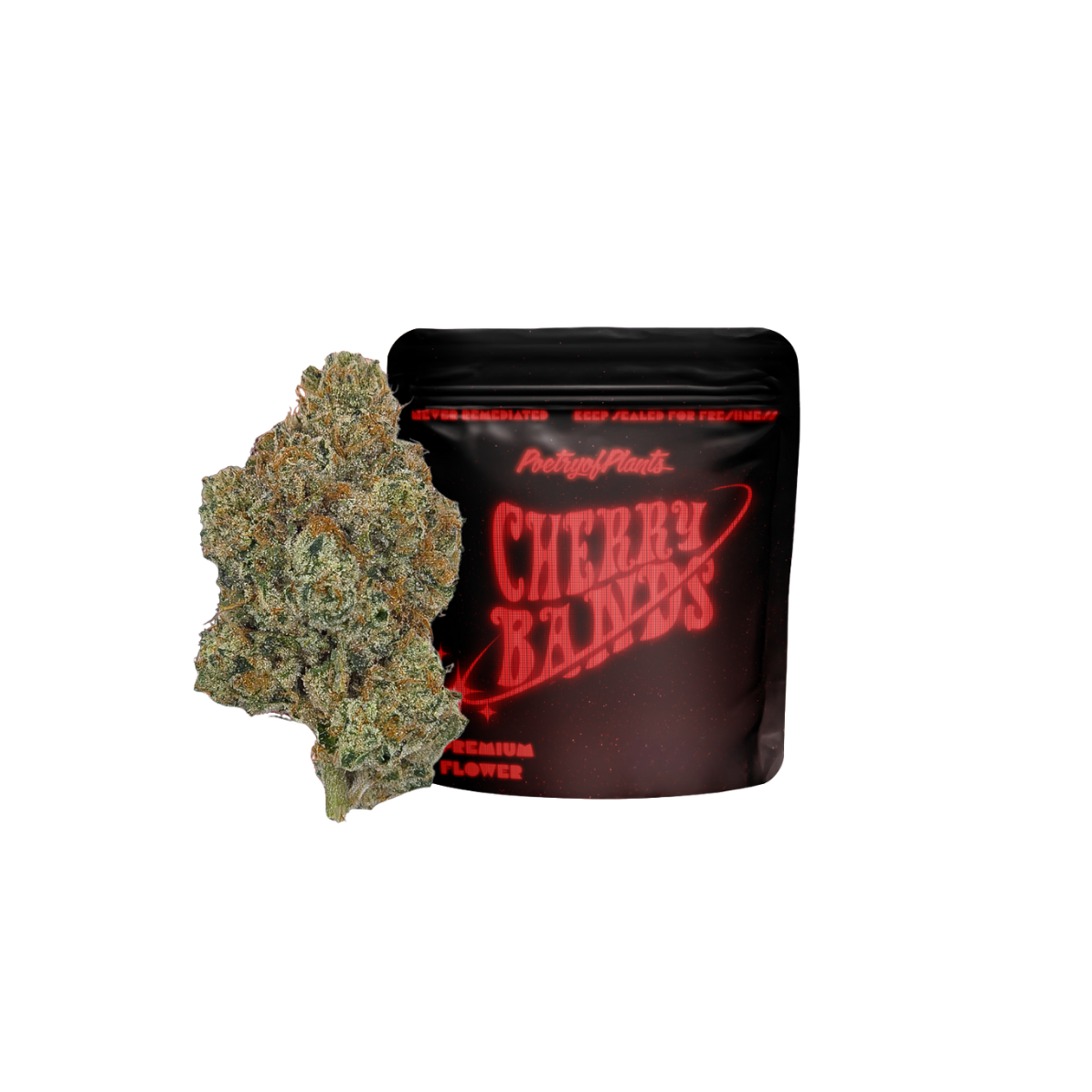 CHERRY BANDS | 1G