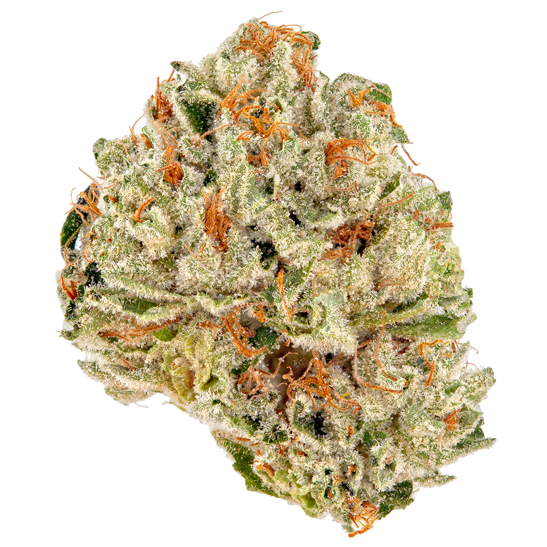 ALIEN COOKIES 14G