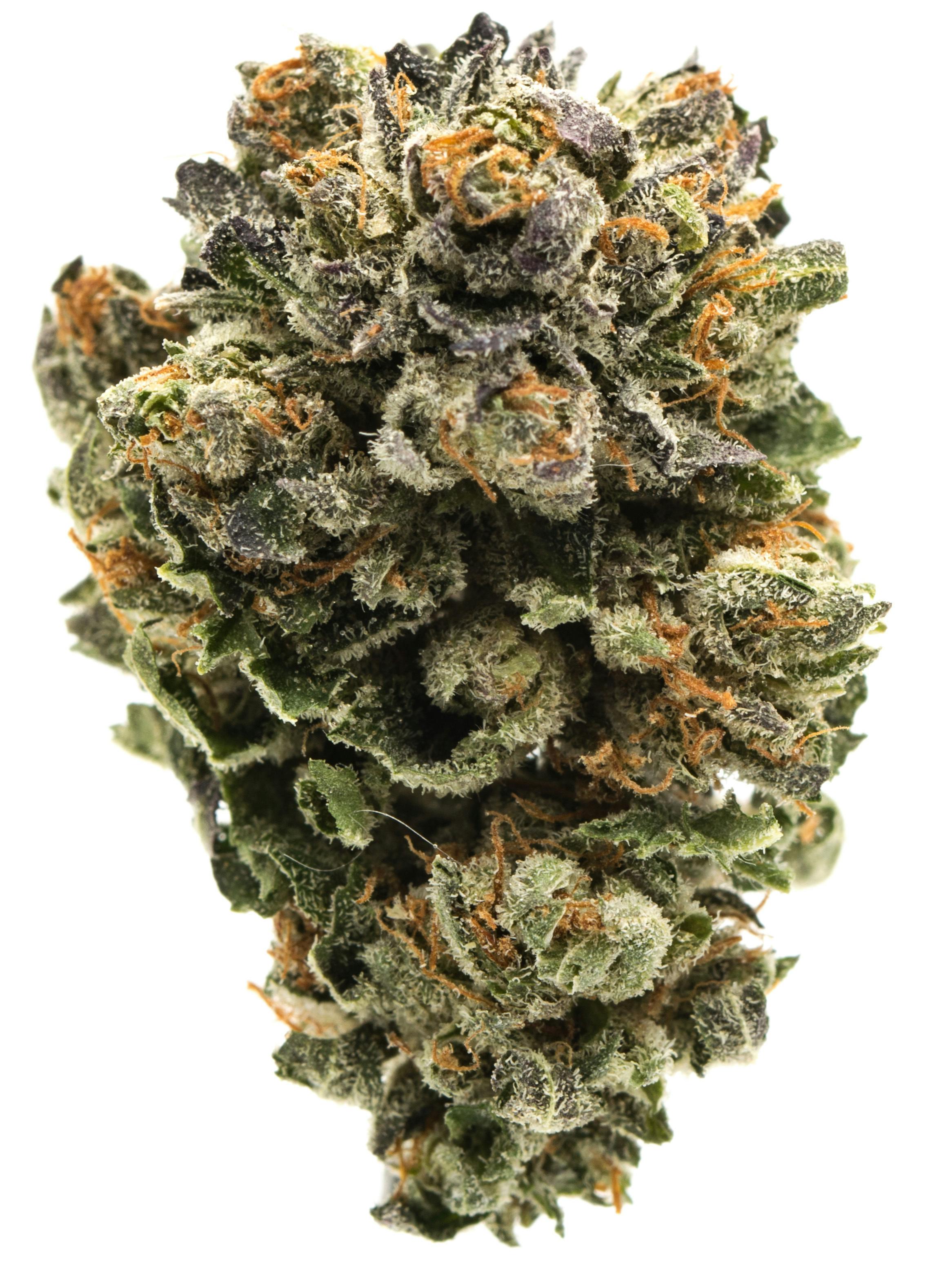 UpNorth: Bubba Kush