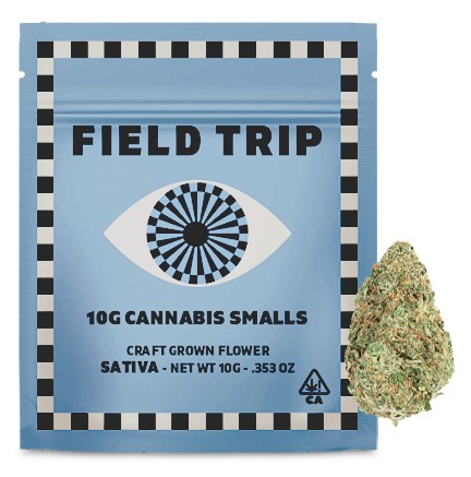 Field Trip: Blue Z