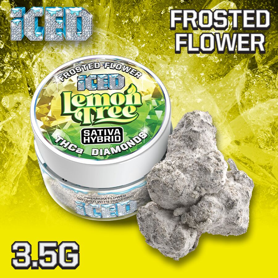 ICED — LEMON TREE 3.5G INFUSED FLOWER -