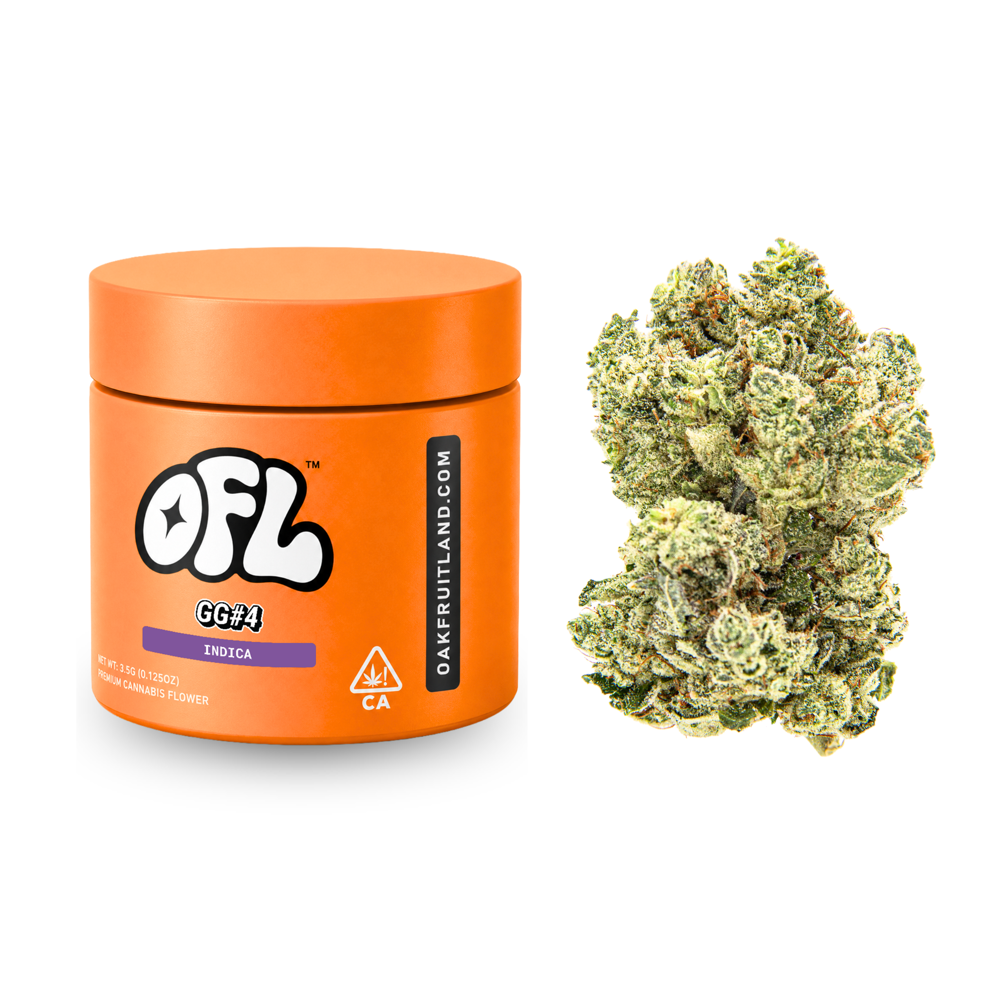 Oakfruitland: Gg#4