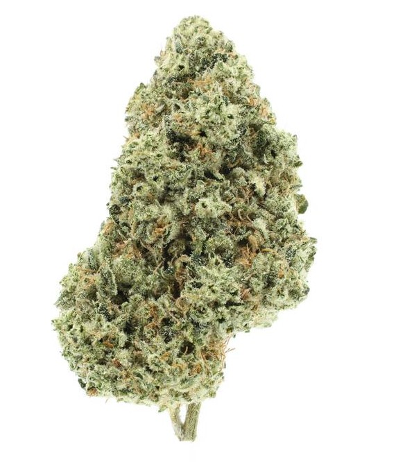 UpNorth: Humboldt OG