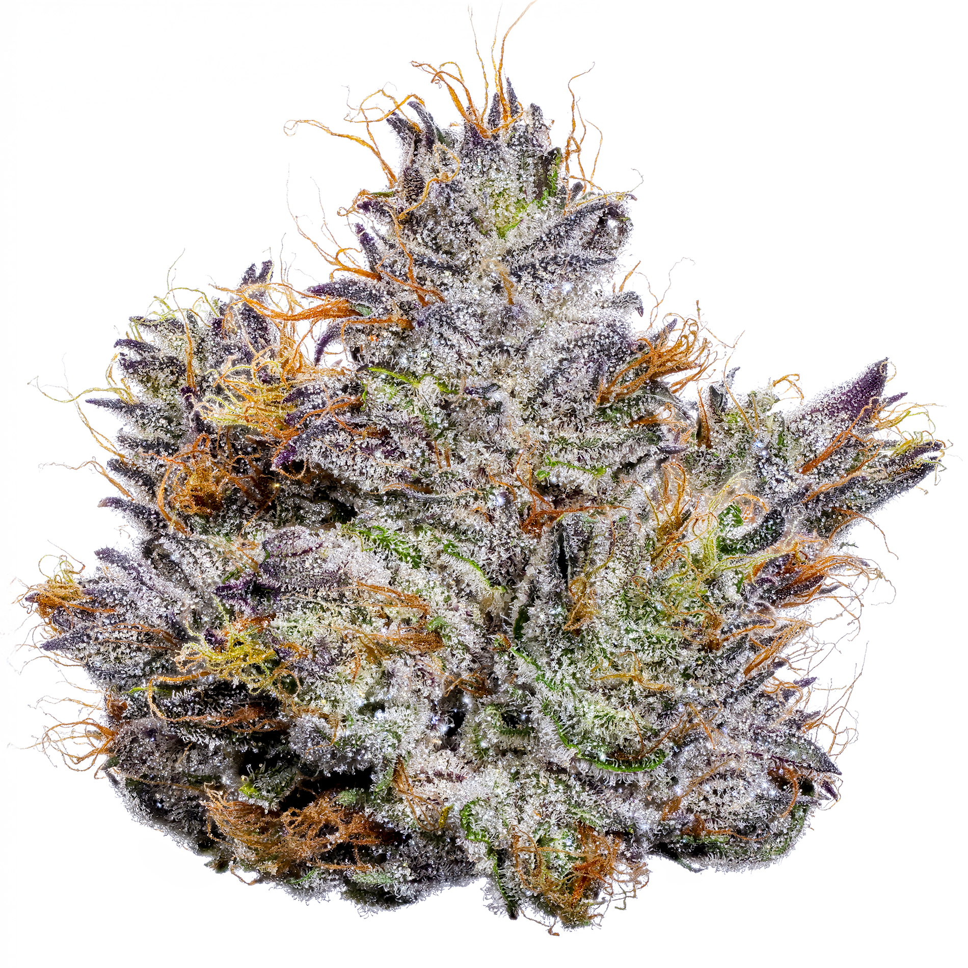 Fig Farms: FABULOSA - 3.5 G