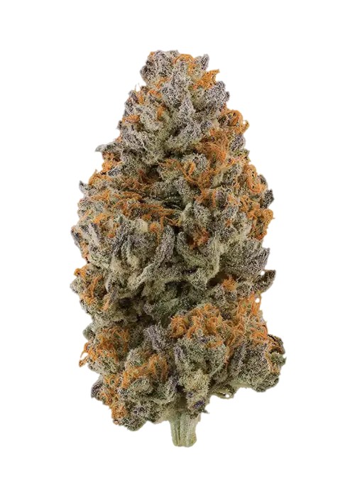 Fig Farms: BLUSCOTTI - 3.5 G