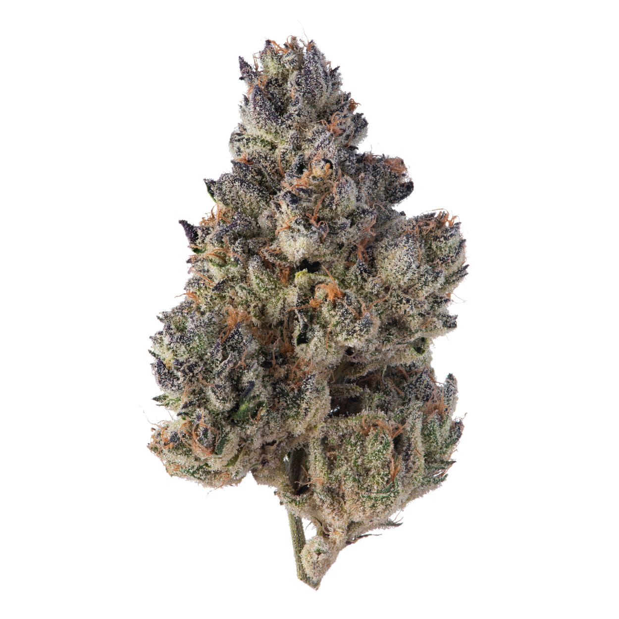 Sense: Grape Licorice