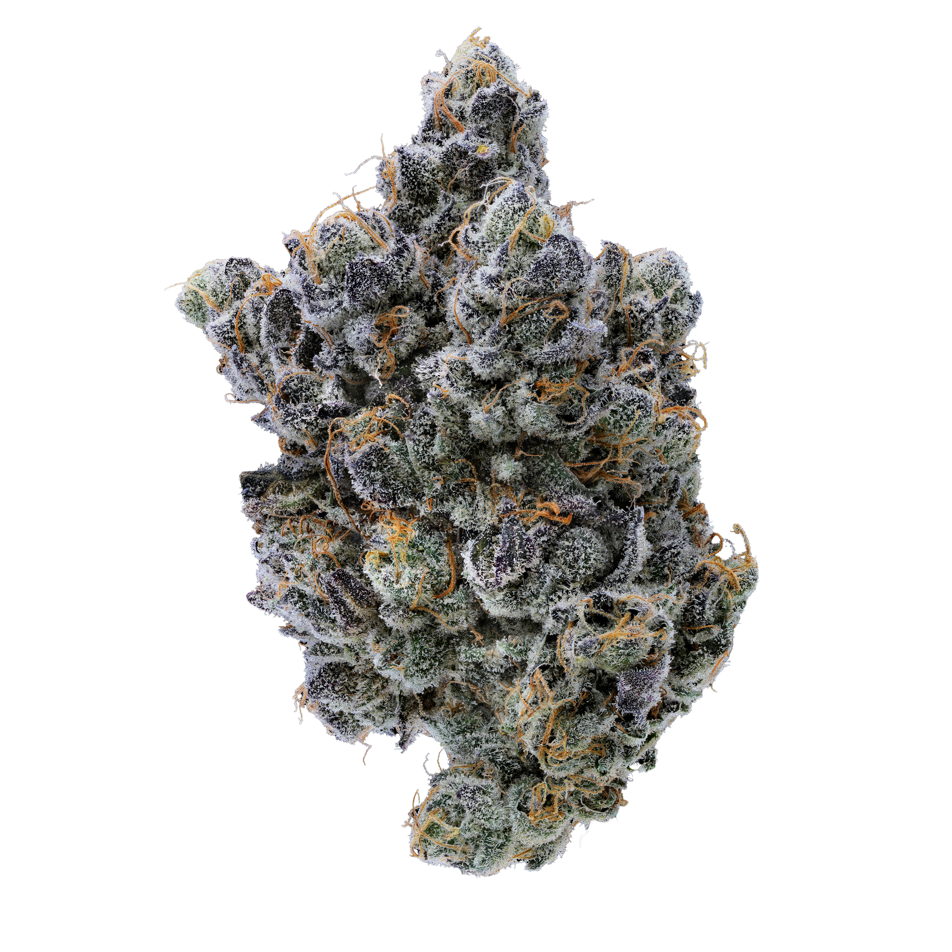 Fig Farms — MOONANA WRECK