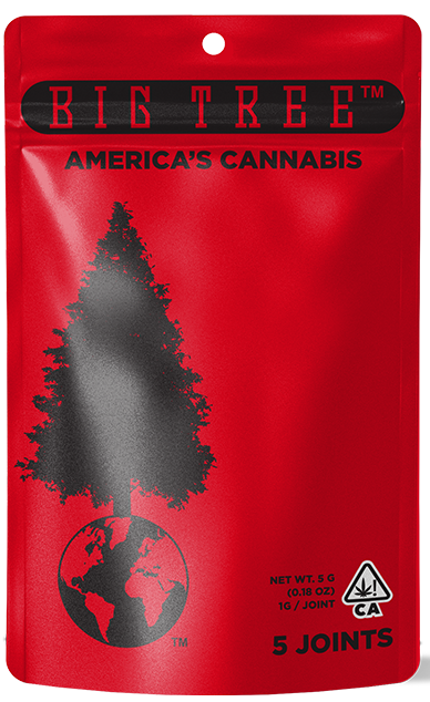 Big Tree Cannabis: Mango Haze