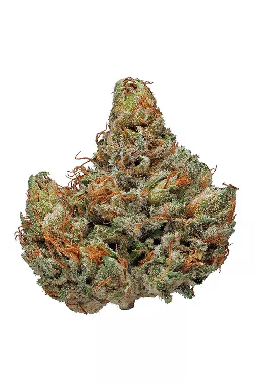 UpNorth — MASTER KUSH -
