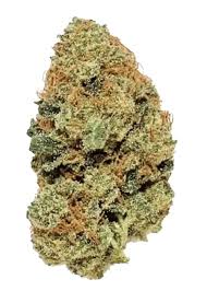 UpNorth — ACAPULCO GOLD -