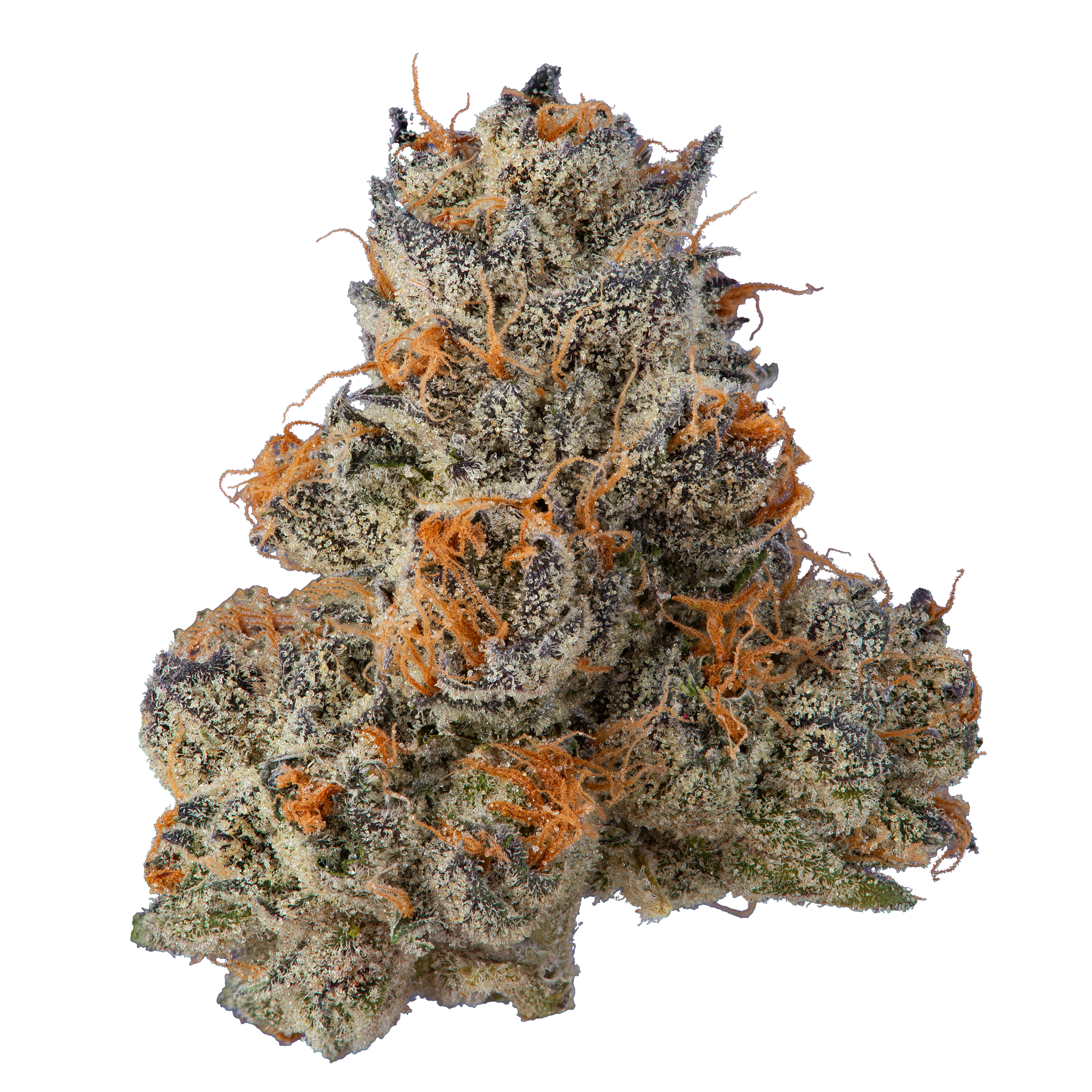 Fig Farms — KRYPTO CHRONIC #1
