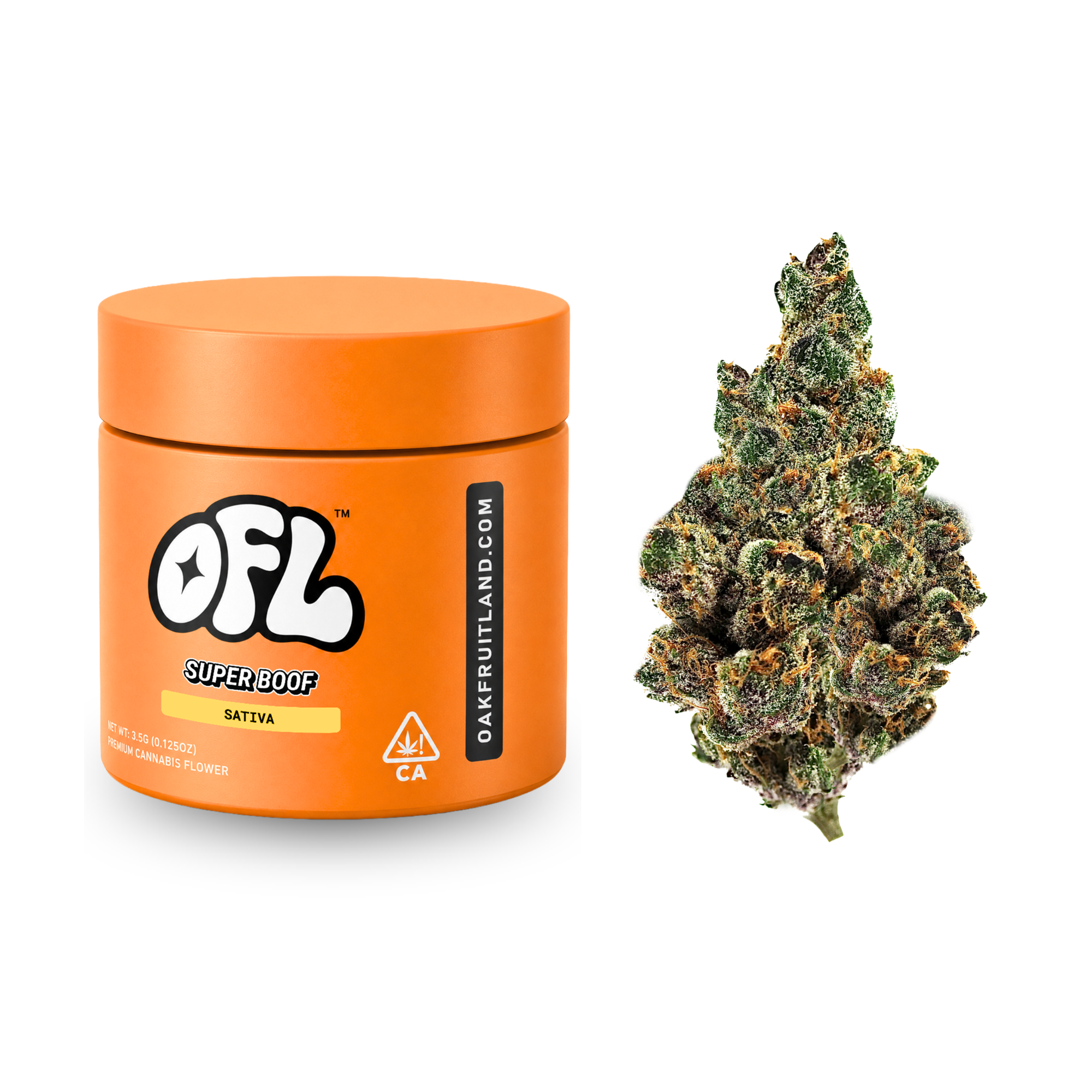 Oakfruitland: Super Boof