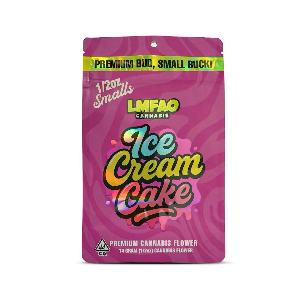 LMFAO: Ice Cream Cake