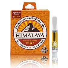 Himalaya: Tangerine Dream