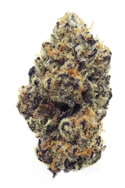Northern Emeralds: Jelly Donut