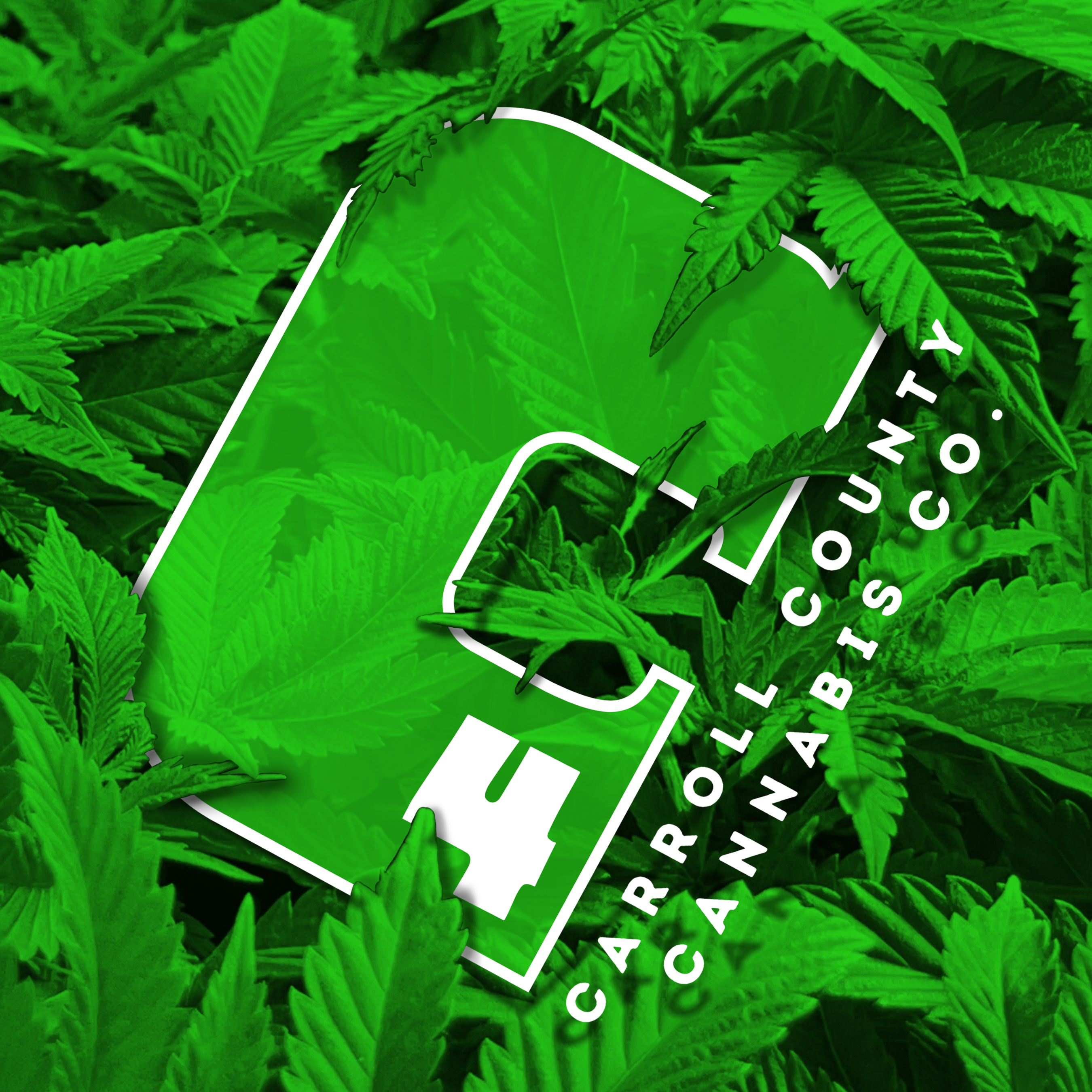 C4 PRE-PACK FLOWER TROPICAL CHEM (S) 3.5G