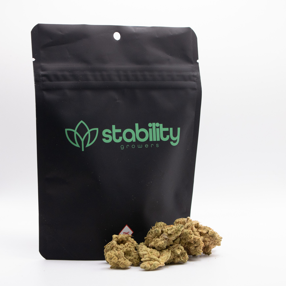 STABILITY PRE-PACK FLOWER BUBBLE GUM (H) 14G
