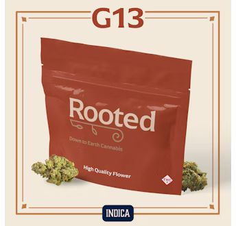 ROOTED PRE-PACK FLOWER GAS FACE (I/H) 3.5G