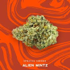 VIVID PRE-PACK FLOWER COMPOUND Z (I/H) 3.5G