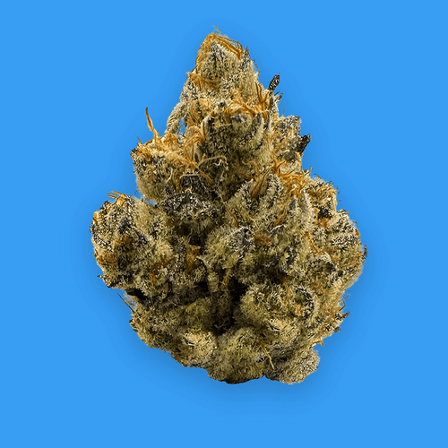 BUOYANT BOB PRE-PACK FLOWER WOUNDED WARRIORS BREATH (I/H) 3.5G