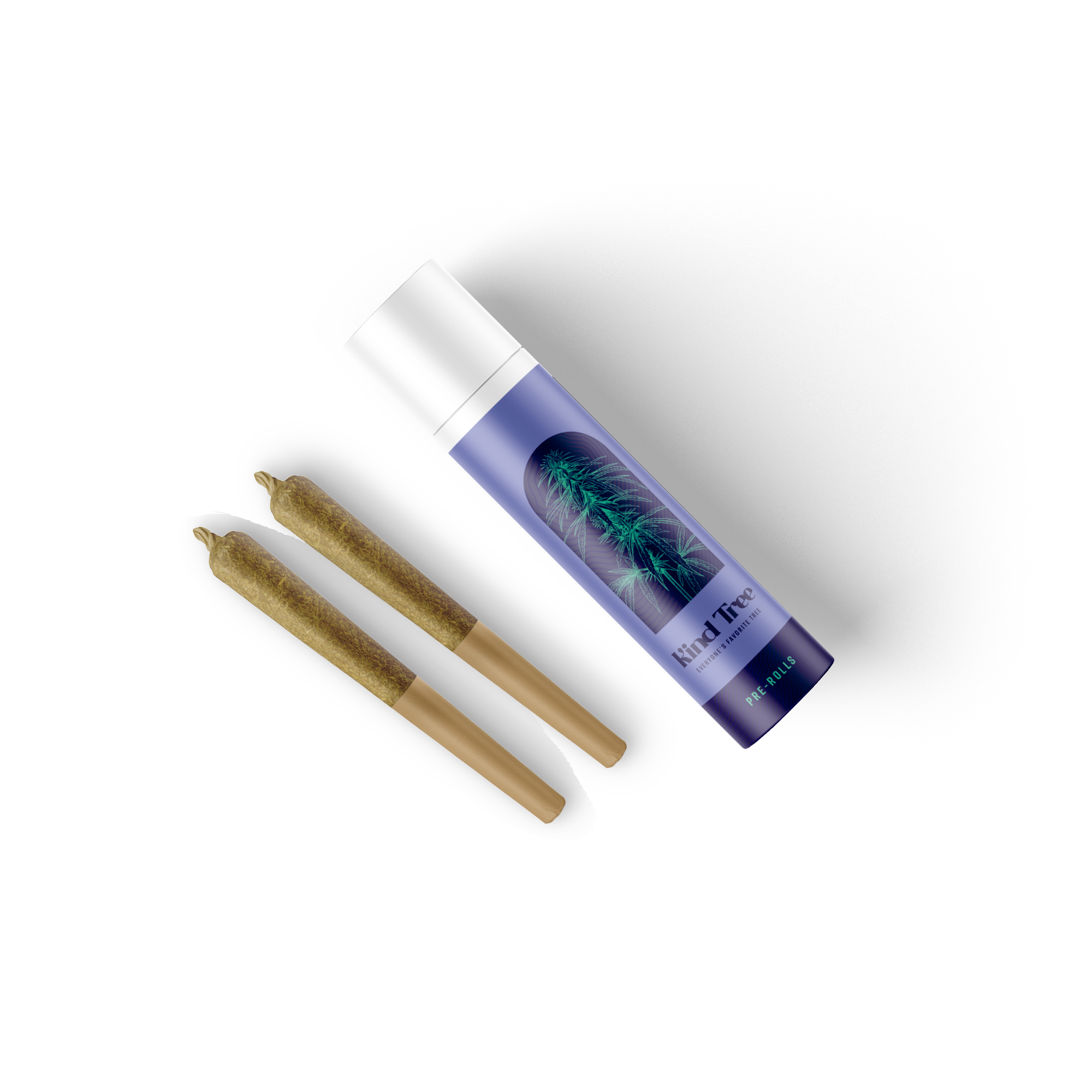 WHITE IVERSON  |  2PK