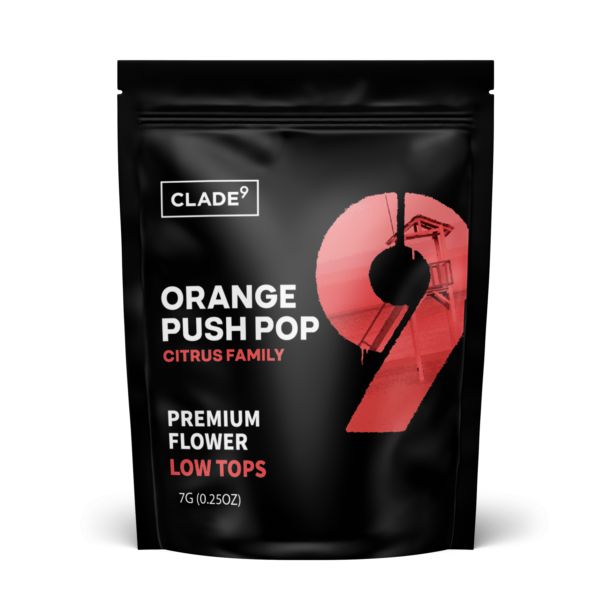 ORANGE PUSH POP | 7G