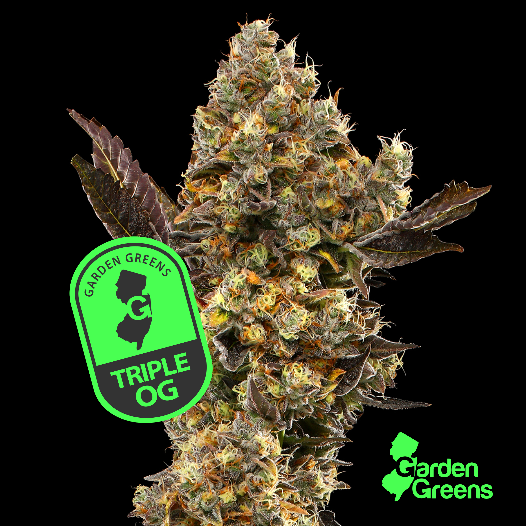 TRIPLE OG  |  7G