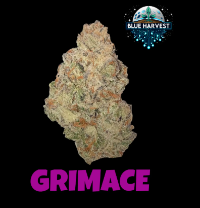 BLUE HARVEST - GRIMACE