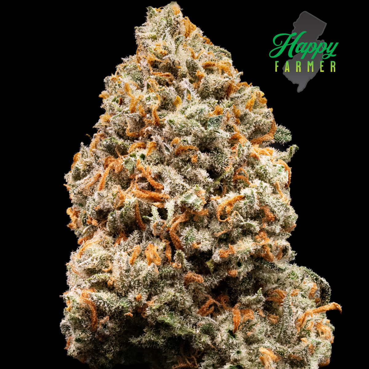 GREEN CRACK