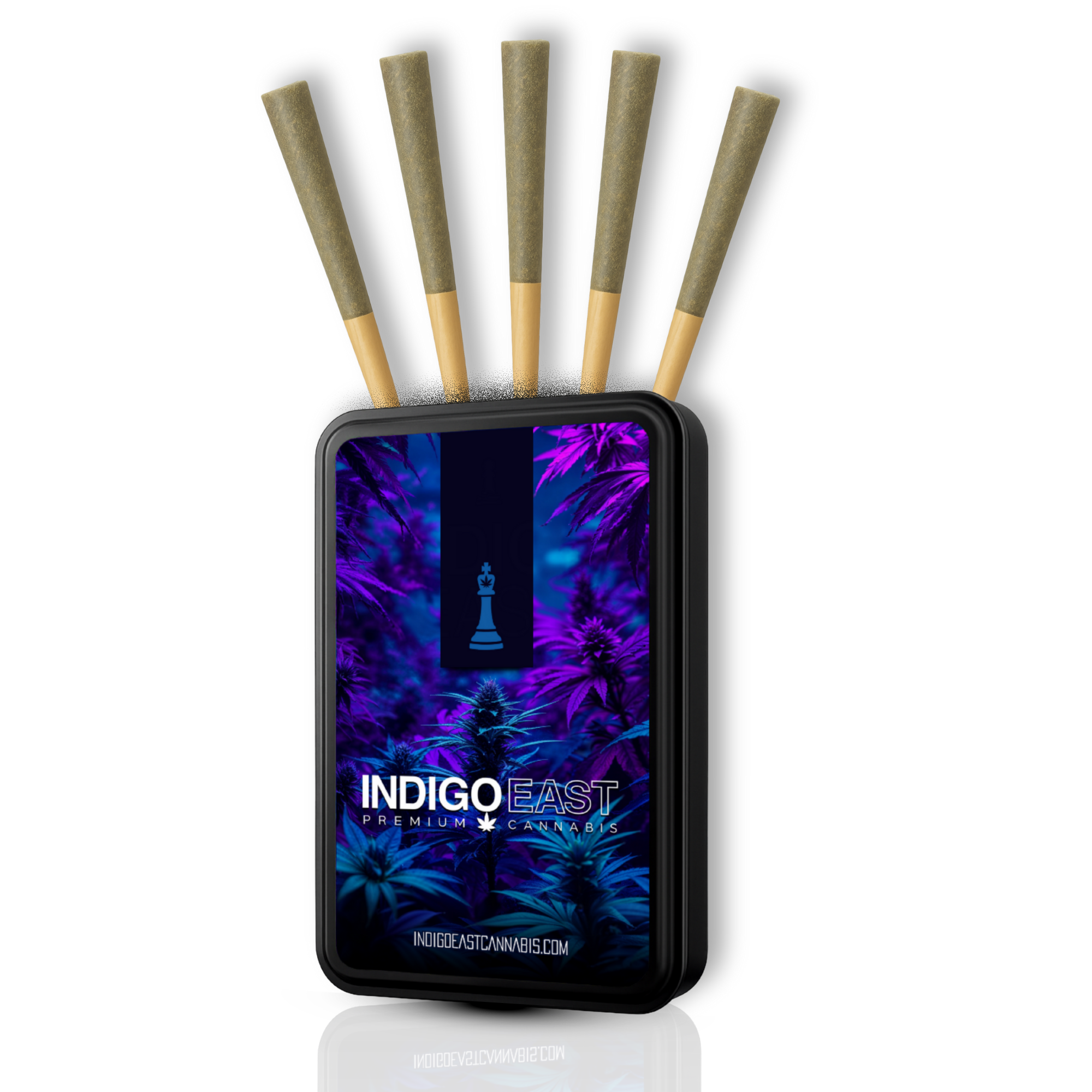 PURPLE HIPPIE  |  5PK