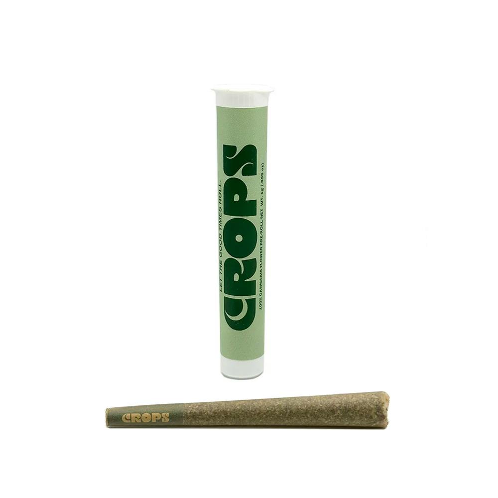 SECRET MEETINGS | 1PK