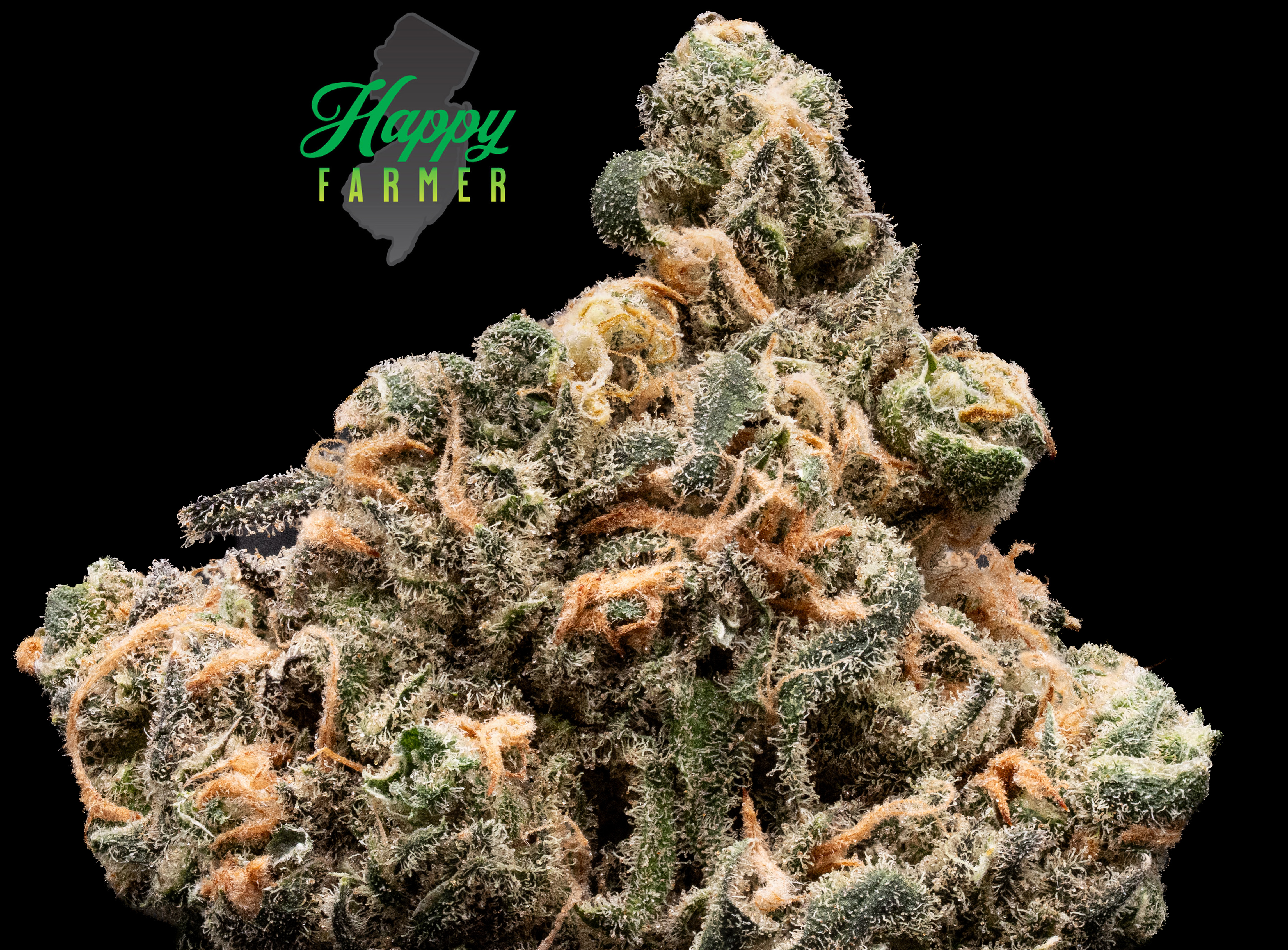 BLUE DREAM 