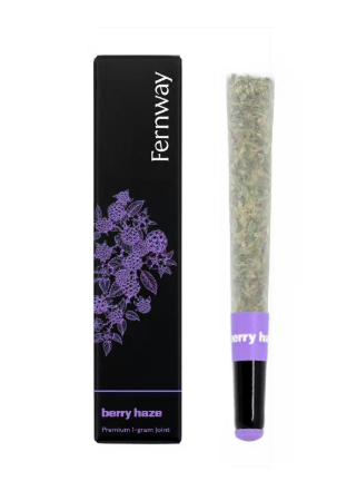 BERRY HAZE  
