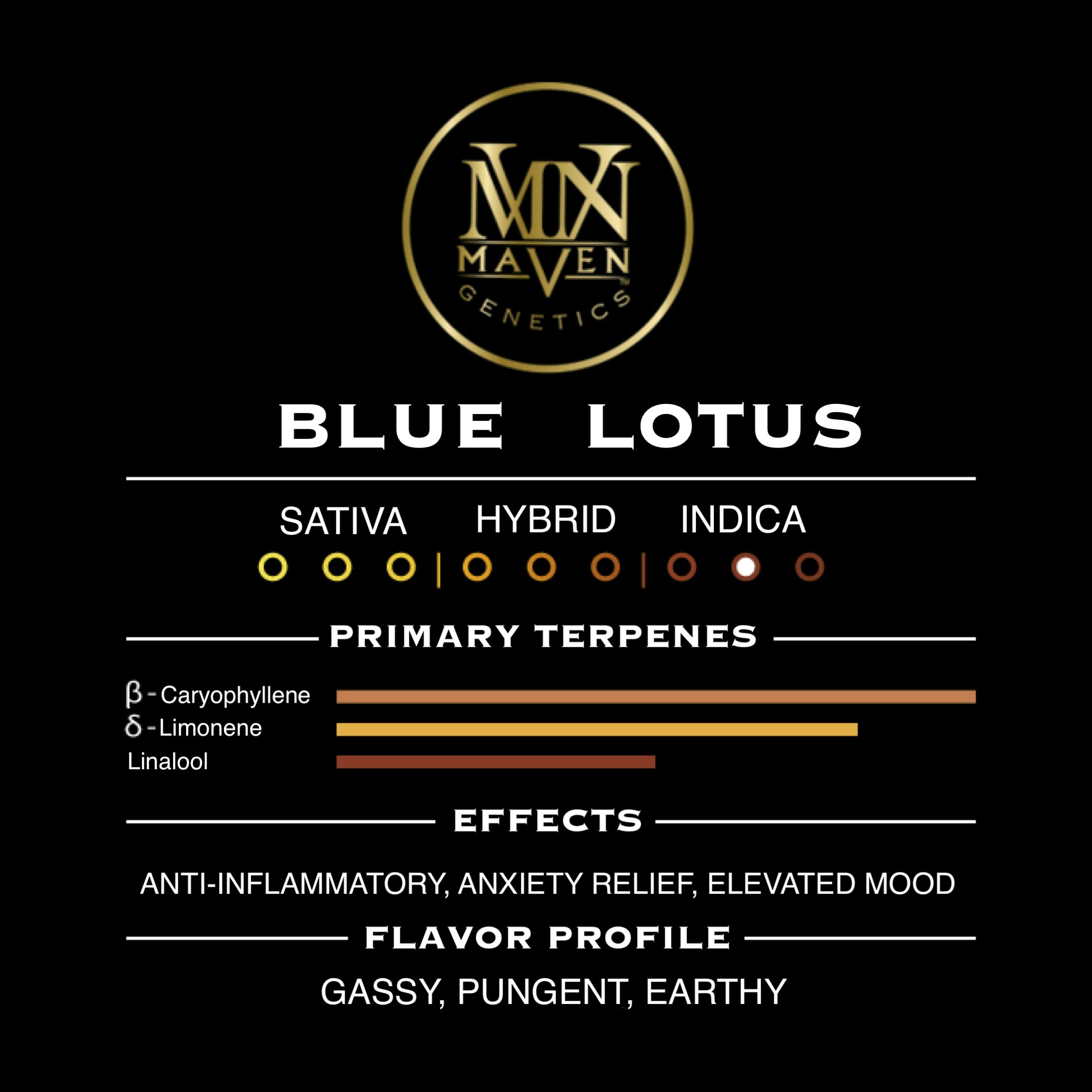 Blue Lotus - 3.5 g