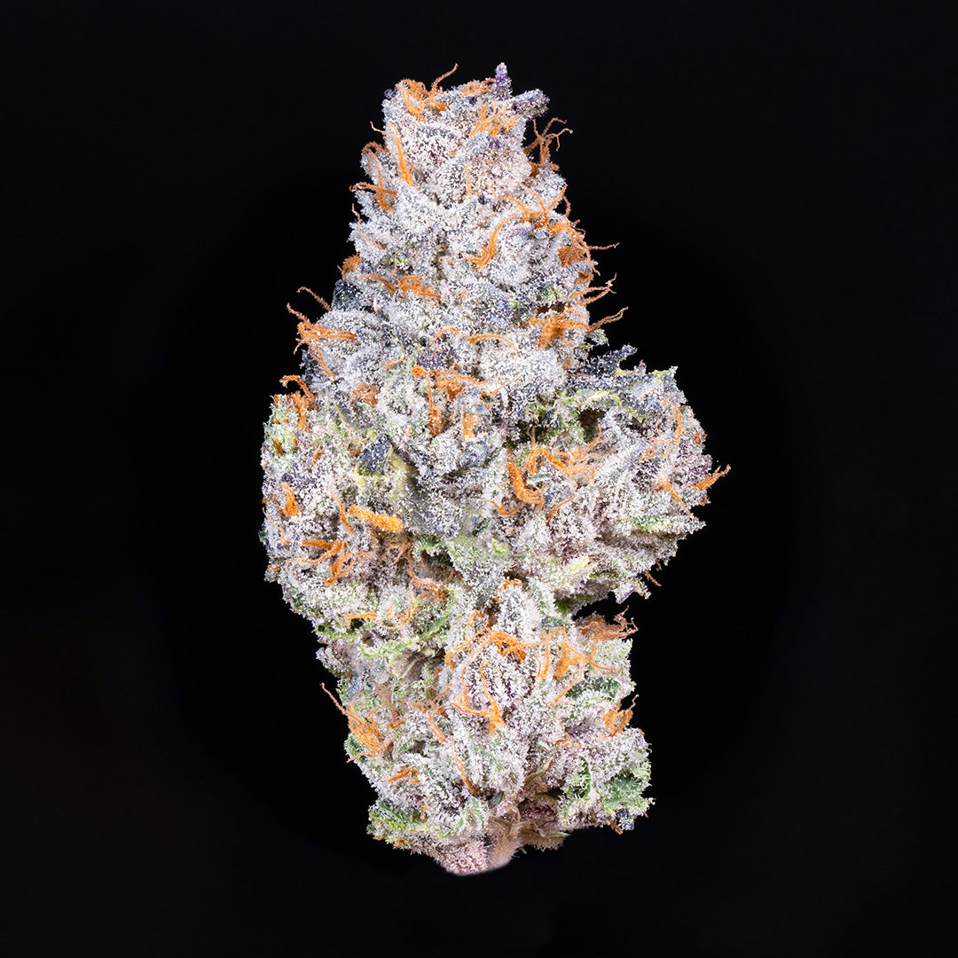 Alien Labs Gelatooooo - 3.5 g