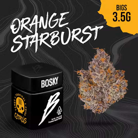 Bosky: Orange Starburst