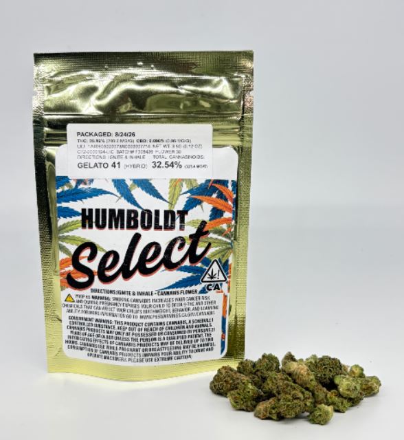 HUMBOLDT SELECT: Gelato 41