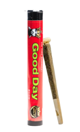 (3) CAVIAR GOLD: Good Day Cavi Cone