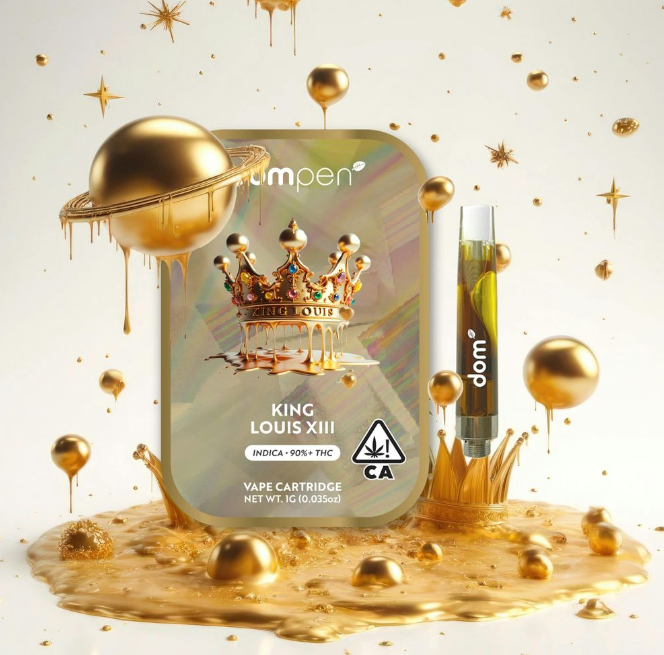 dompen — KING LOUIS XIII [1G]