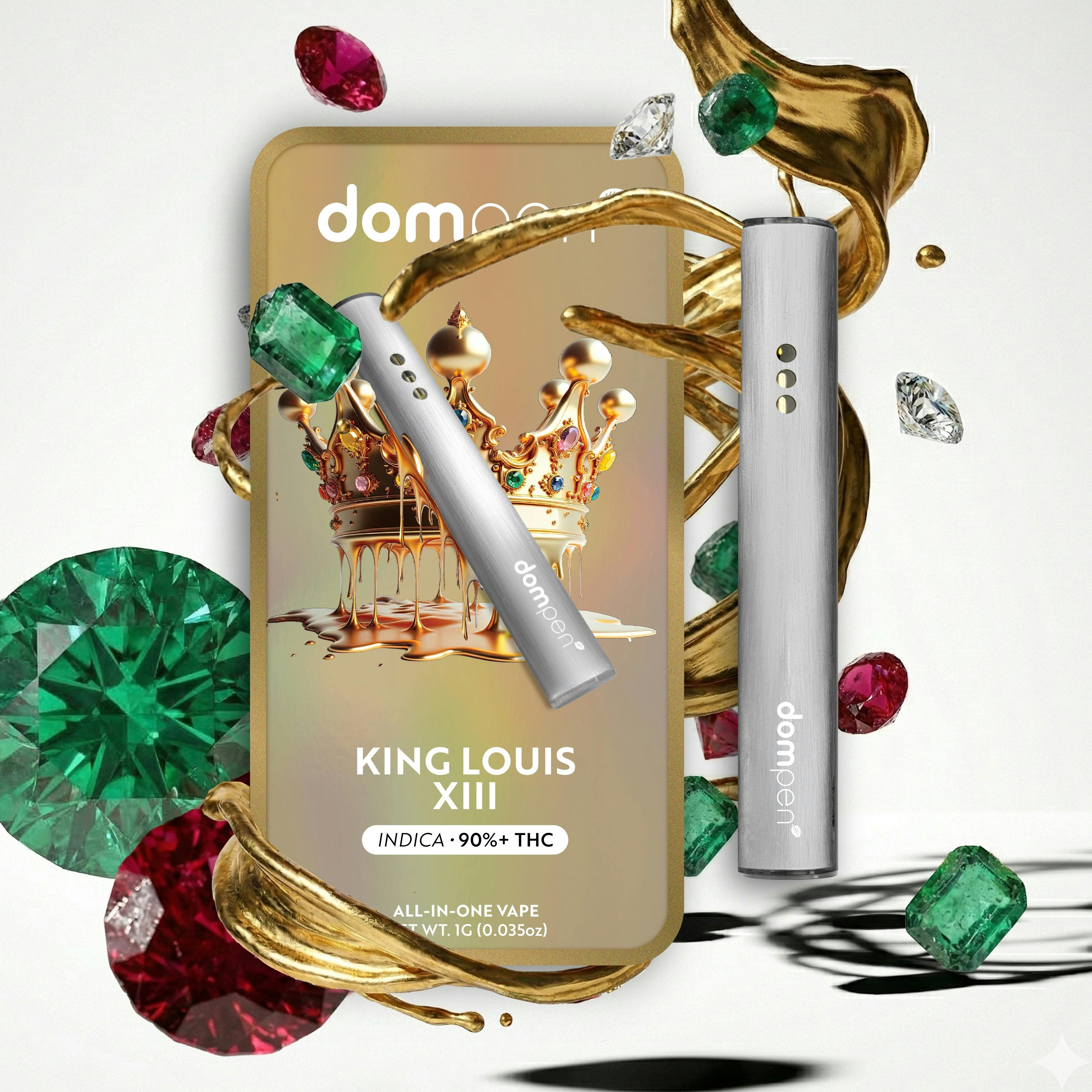 dompen: King Louis Xiii