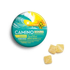 CAMINO: Tropical Burst / -v