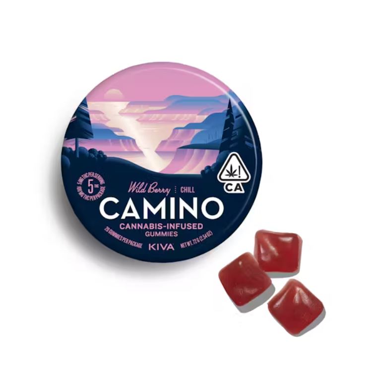 CAMINO — WILD BERRY [CHILL]